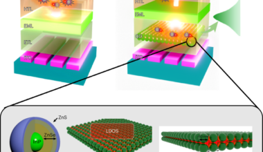 Inverted phosphorescent OLEDs with plasmon coupling from quantum dot interlayers for enhanced efficiency