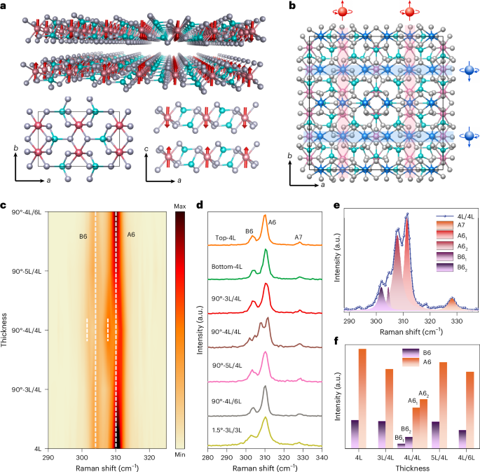 Altermagnetism in twisted van der Waals homostructures