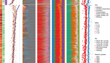Integrated signatures define mutational processes in prostate cancer
