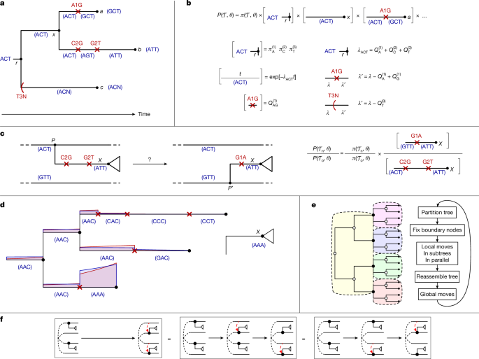 Scalable near-real-time Bayesian phylogenetics for outbreaks with Delphy