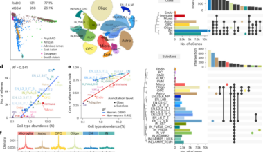 Single-nucleus atlas of cell-type specific genetic regulation in the human brain