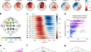Human tau pathology is associated with lonely, nontraveling slow waves linked to memory impairment