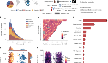 Gut microbiome maturation in early childhood interacts with host genetics to predict type 1 diabetes risk