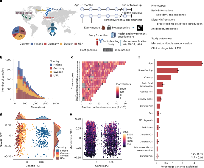 Gut microbiome maturation in early childhood interacts with host genetics to predict type 1 diabetes risk