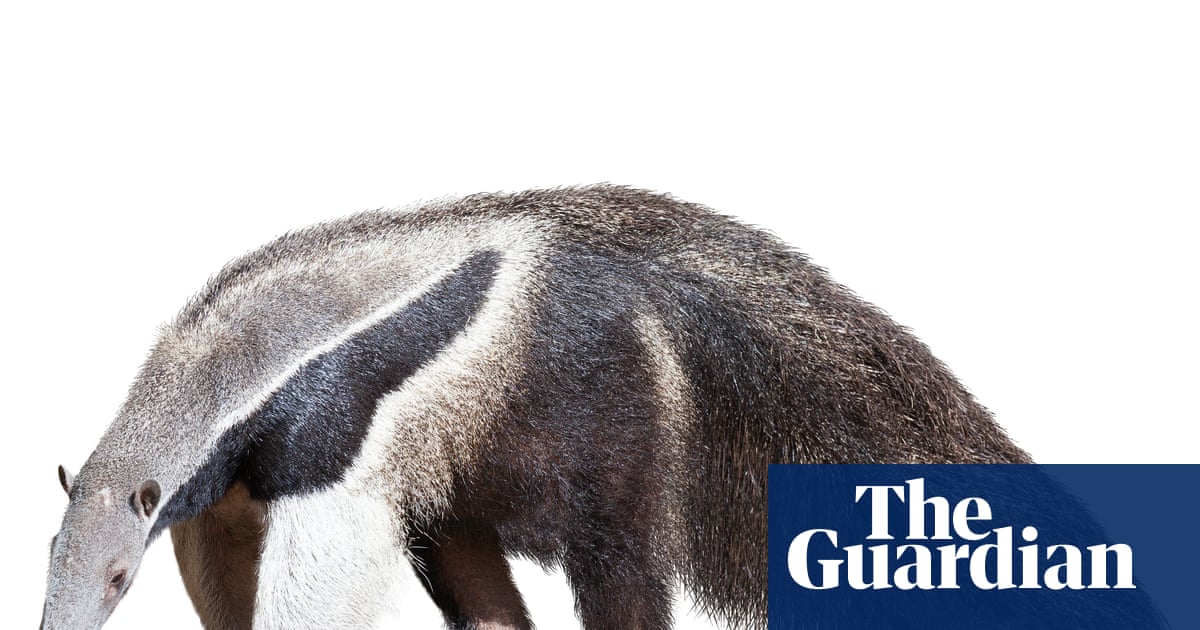 Thursday news quiz: Stolen jewels, breakdancing fools and a car that’s breaking the rules | Life and style