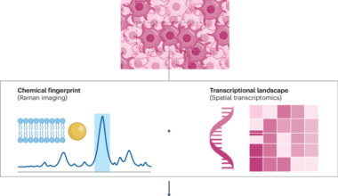 The chemical fingerprint of cellular senescence - Nature