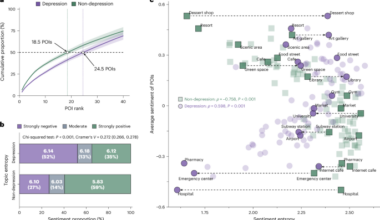 Depression risk associated with idealized sentiment toward urban places on social media