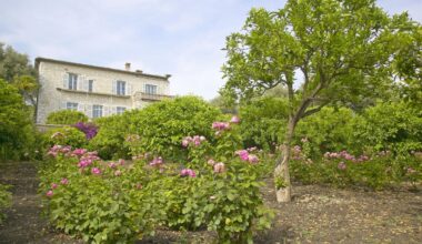 Two Renoir paintings worth €9m stolen from Renoir Museum in South of France - The Art Newspaper