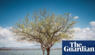 ‘They take the water, the springs dry up’: fear as Guatemalan goldmine plan is revived | Mining