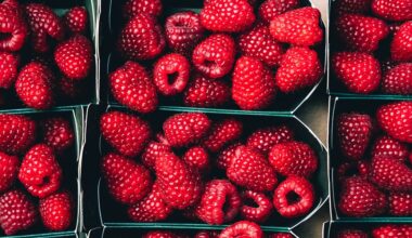 Which berry is healthiest? Health benefits of each type of berry