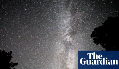 The night sky is getting 10% brighter every year. We’re forgetting what darkness feels like | Environment