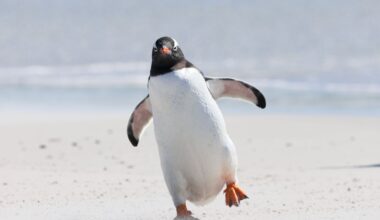 Might as well blame AI for this giant Linux release candidate, says Linus Torvalds