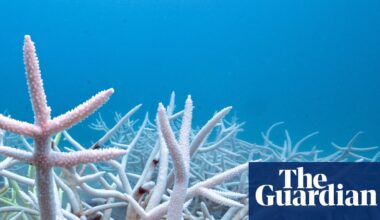 World’s oceans absorbed record heat equal to 40 times annual global energy use | Environment
