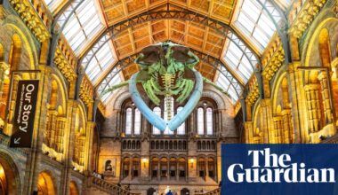 England’s national museums to remain free to overseas visitors | Museums