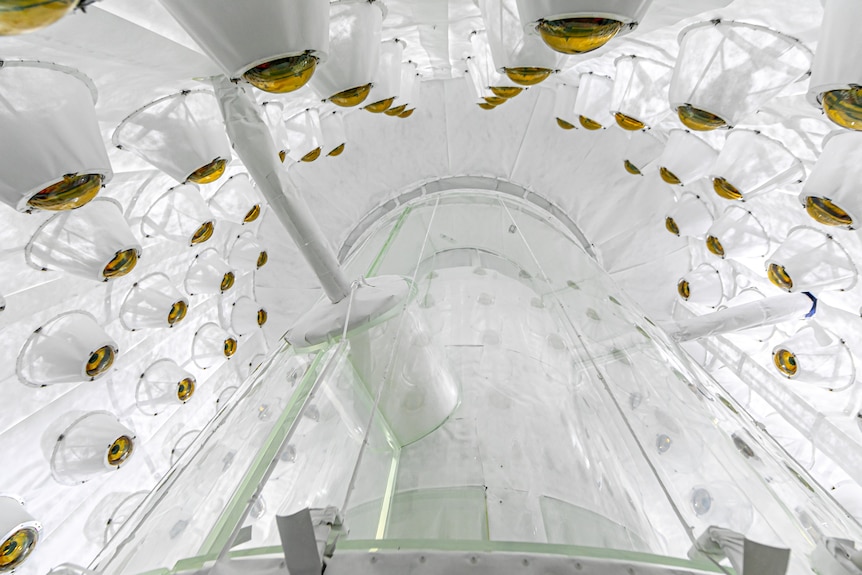 High-tech white and glass interior of a dark matter detector in a large white tube.