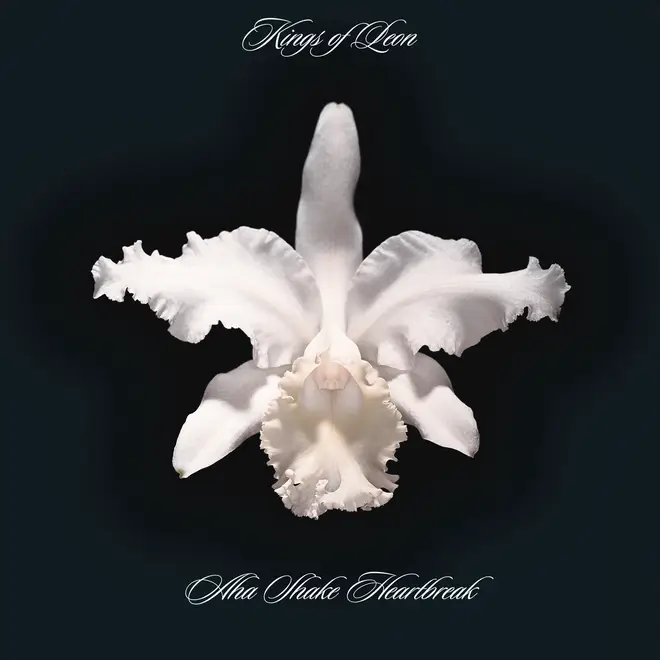 Kings Of Leon - Aha Shake Heartbreak cover art