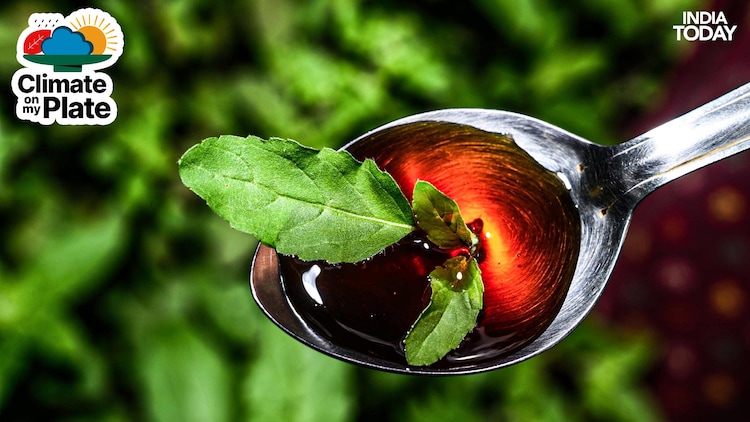 Tulsi leaves and honey is a combination used to treat sore throat and cough. (Photo: Getty)