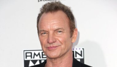 Sting says human artists face no competition from AI made music
