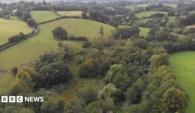 An aerial view of the reserve which is covered in trees, bushes and green countryside.