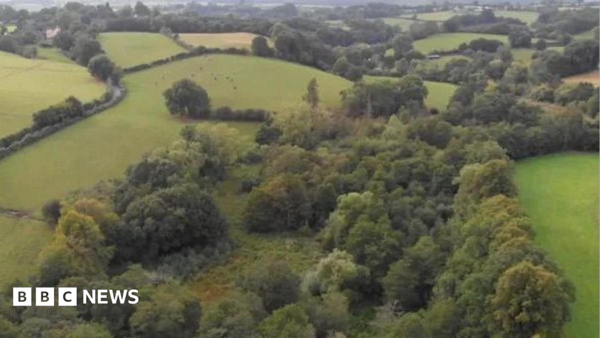 An aerial view of the reserve which is covered in trees, bushes and green countryside.