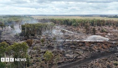 Birds-eye view of the damaged and burnt nature reserve.  Some clouds of white smoke can be seen in the air, and a spray of water is dousing the ground.