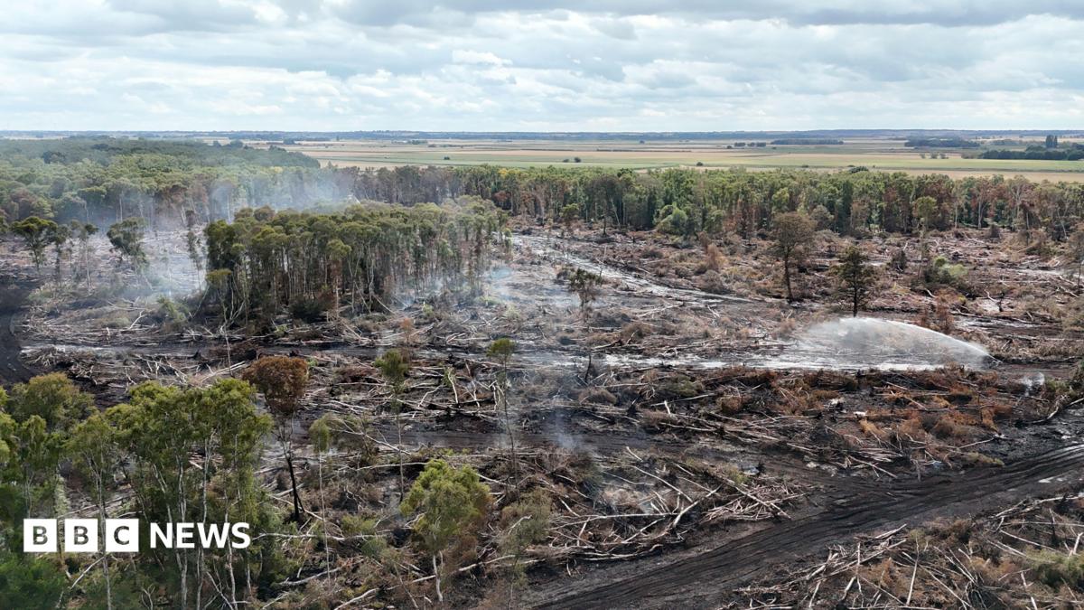 Birds-eye view of the damaged and burnt nature reserve.  Some clouds of white smoke can be seen in the air, and a spray of water is dousing the ground.