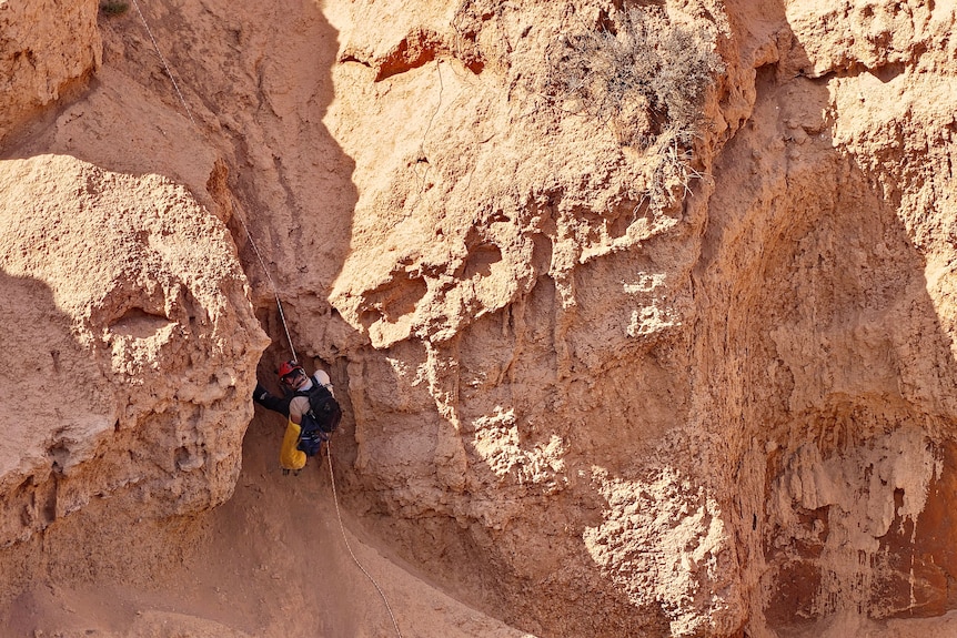 a brown sandy cliff face with a person abseiling down