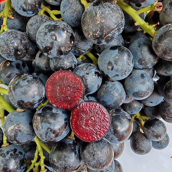 Experts say the superfruit is giving blueberries a run for their money Experts say the superfruit is giving blueberries a run for their money