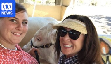 Daughter of mining executive sues mother over multi-million-dollar farm inheritance