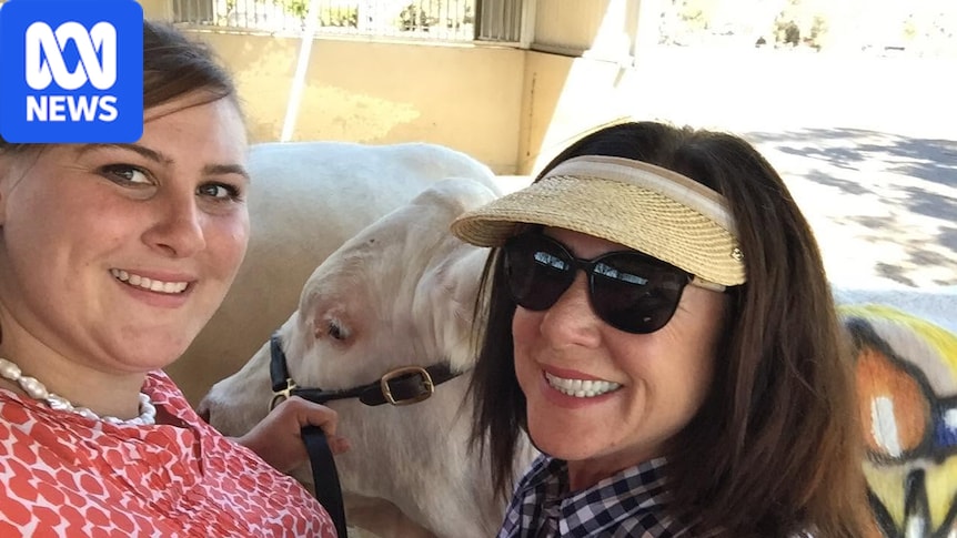 Daughter of mining executive sues mother over multi-million-dollar farm inheritance