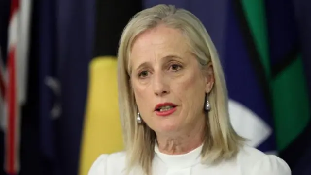 Katy Gallagher, speaking to the media in Sydney earlier