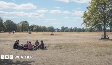 A group of people sit in a circle on straw-like dry grass. There are trees in the background and blue sky