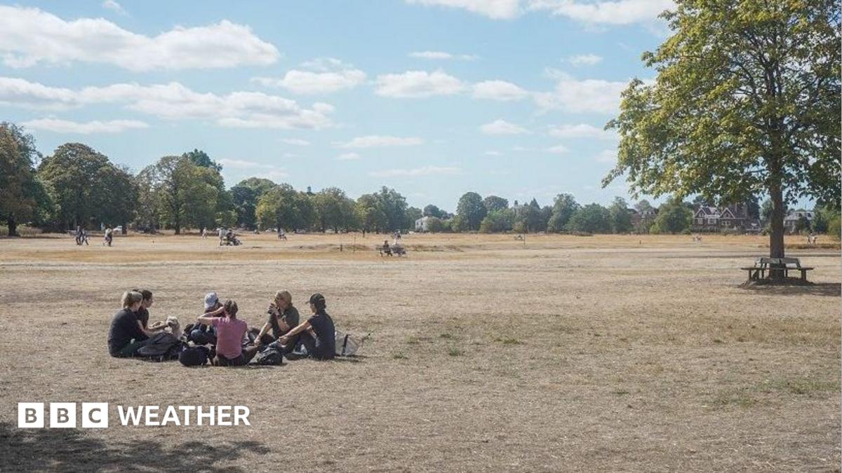 A group of people sit in a circle on straw-like dry grass. There are trees in the background and blue sky