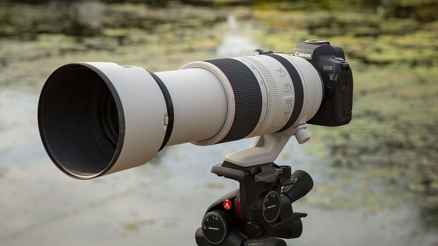 Canon RF 100-500mm f/4.5-7.1 L IS USM