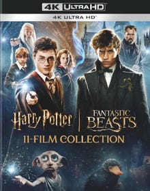 Harry Potter and Fantastic Beasts 11-Film Collection (4K Ultra HD)