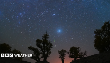 A meteor streaks through a star-strewn night sky, with the silhouettes of trees to the left and right