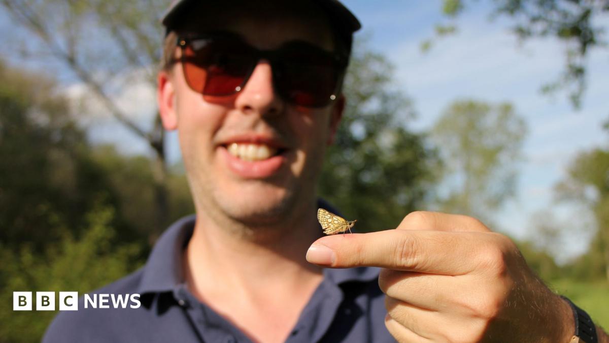 Dr Jamie Wildman, holding up a butterfly on his finger. He is slightly blurred out in the background. He is smiling and has sunglasses and a cap on, and he is wearing a navy blue collared top. There are further trees and foliage behind him.
