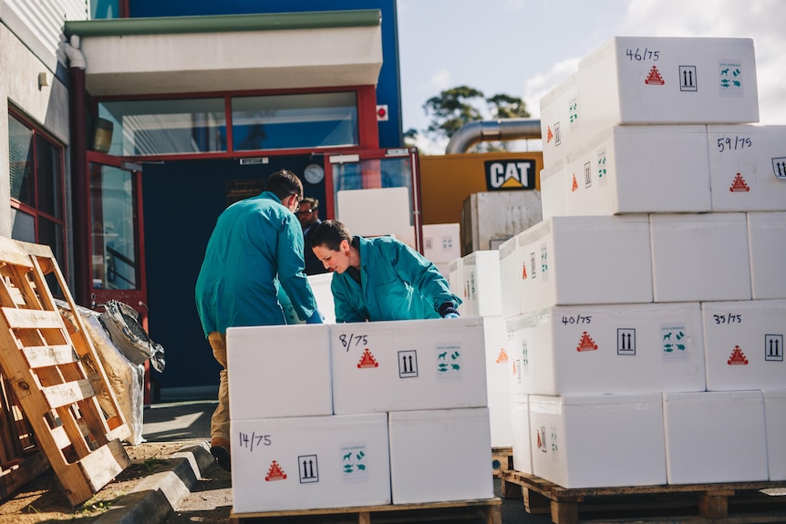 Packages being unloaded by people in front of a building.