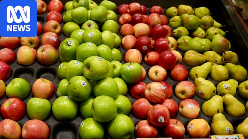 Australian apple growers fear economic and biosecurity wipeout as United States eyes market
