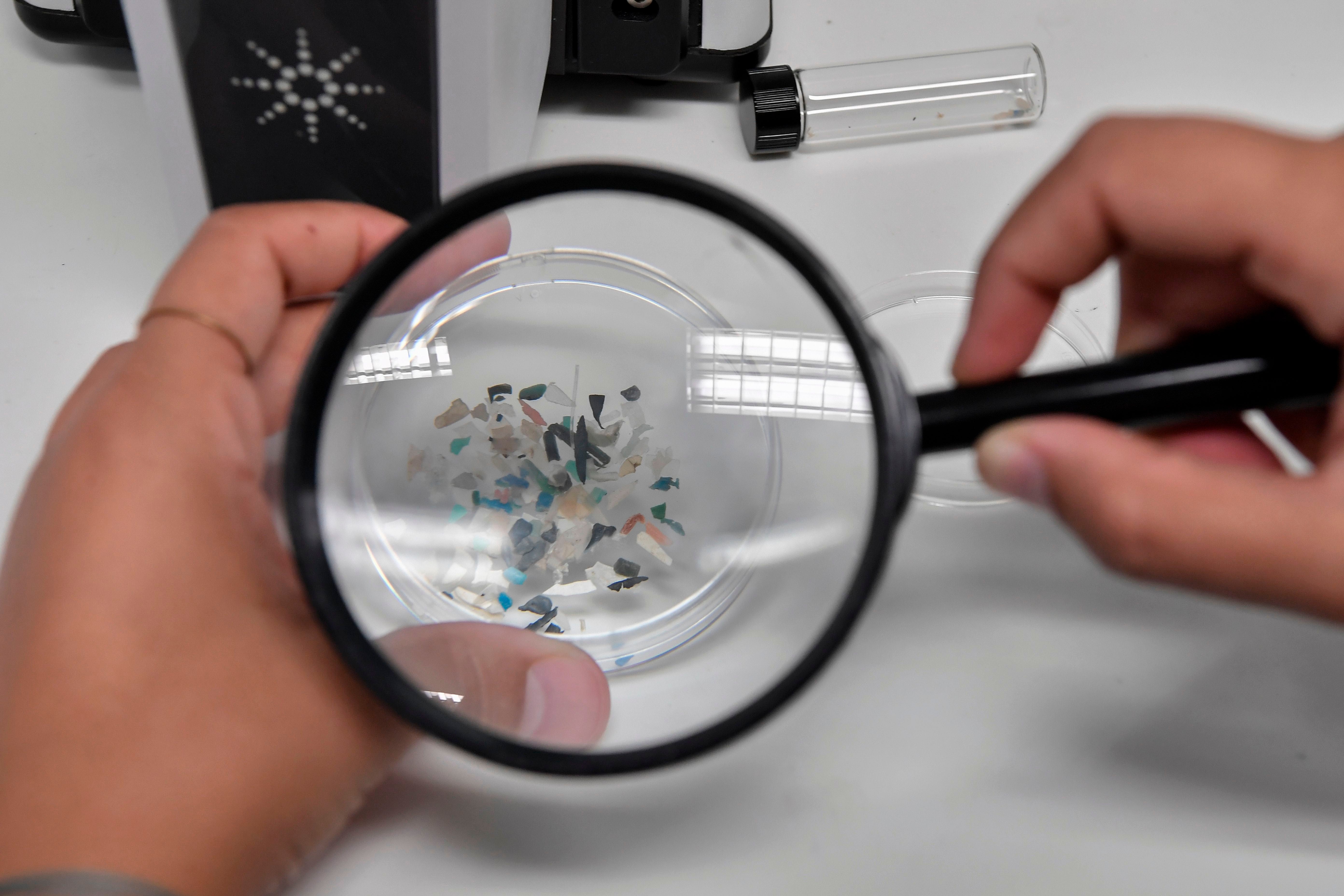 There are microplastics pretty much everywhere. The plastic particles have been found in cancer tumors before