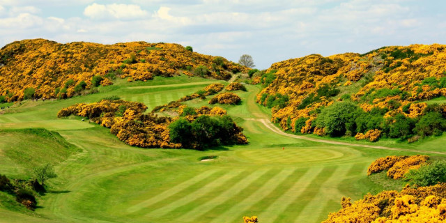 Braid Hills