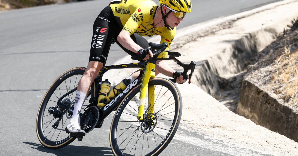 Team Visma | Lease a Bike