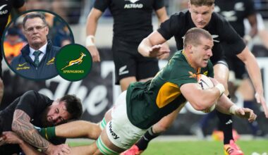 Rassie Erasmus addresses Cameron Hanekom's absence as Springboks have 'security'