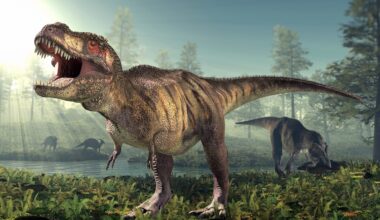 Can You Draw a T. Rex Correctly?