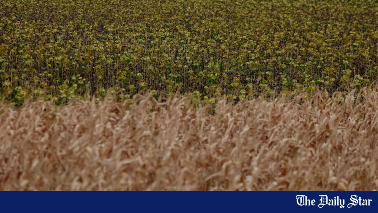 World food prices at highest since 2022 as supply risks mount