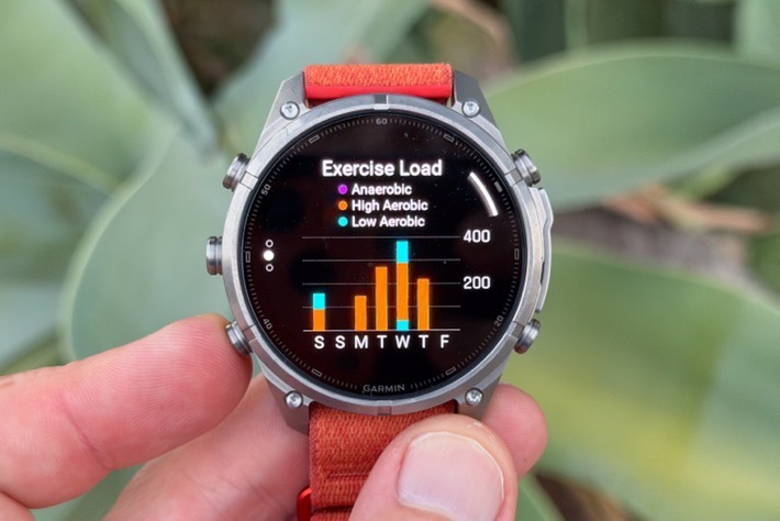 FEnix9 TrainingTypes.