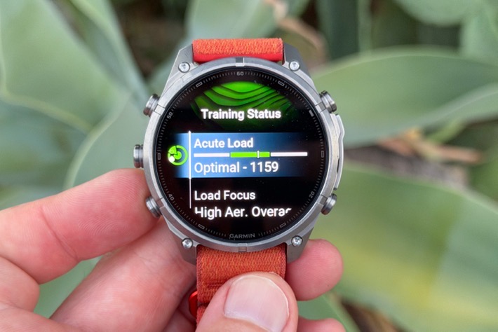 Fenix9-TrainingStatusPortions.jpg Fenix9 TrainingStatusPortions.