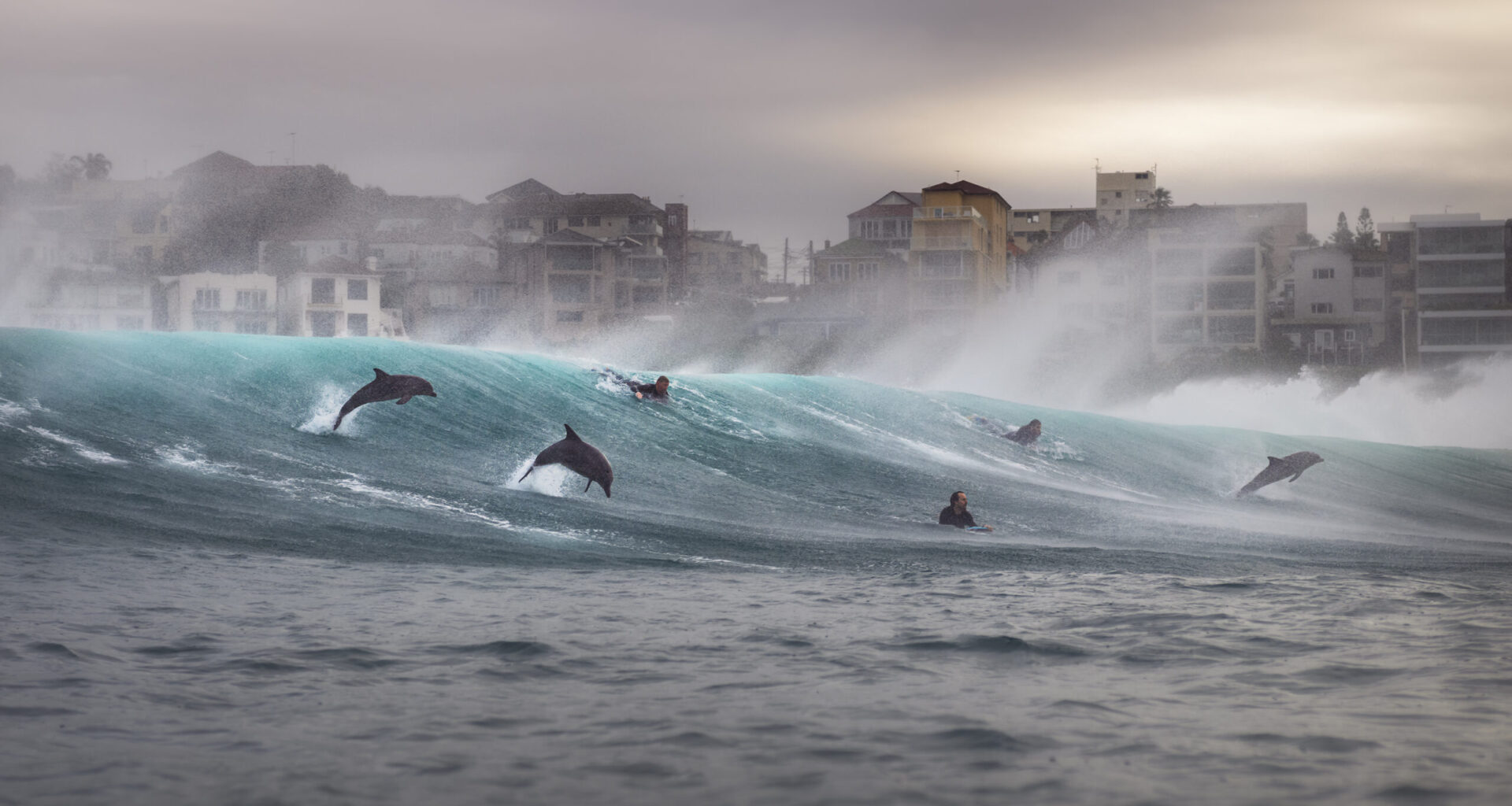 Ocean Photographer of the Year 2026 winners announced