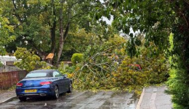 Fallen tree blocked access to Jubilee Avenue in Fakenham