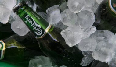 Carlsberg and Sapporo go in big on alliance in Asia, UK